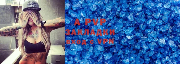 стаф Алзамай