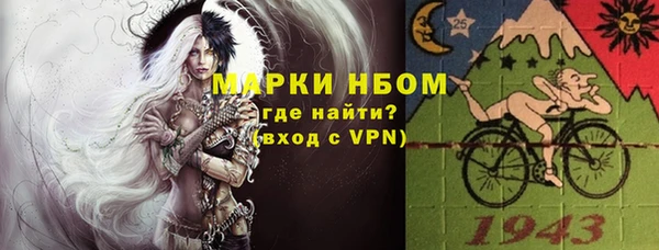 PSILOCYBIN Майский