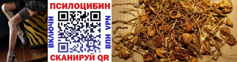Псилоцибиновые грибы мухоморы  ссылка на мегу зеркало  Александровск 